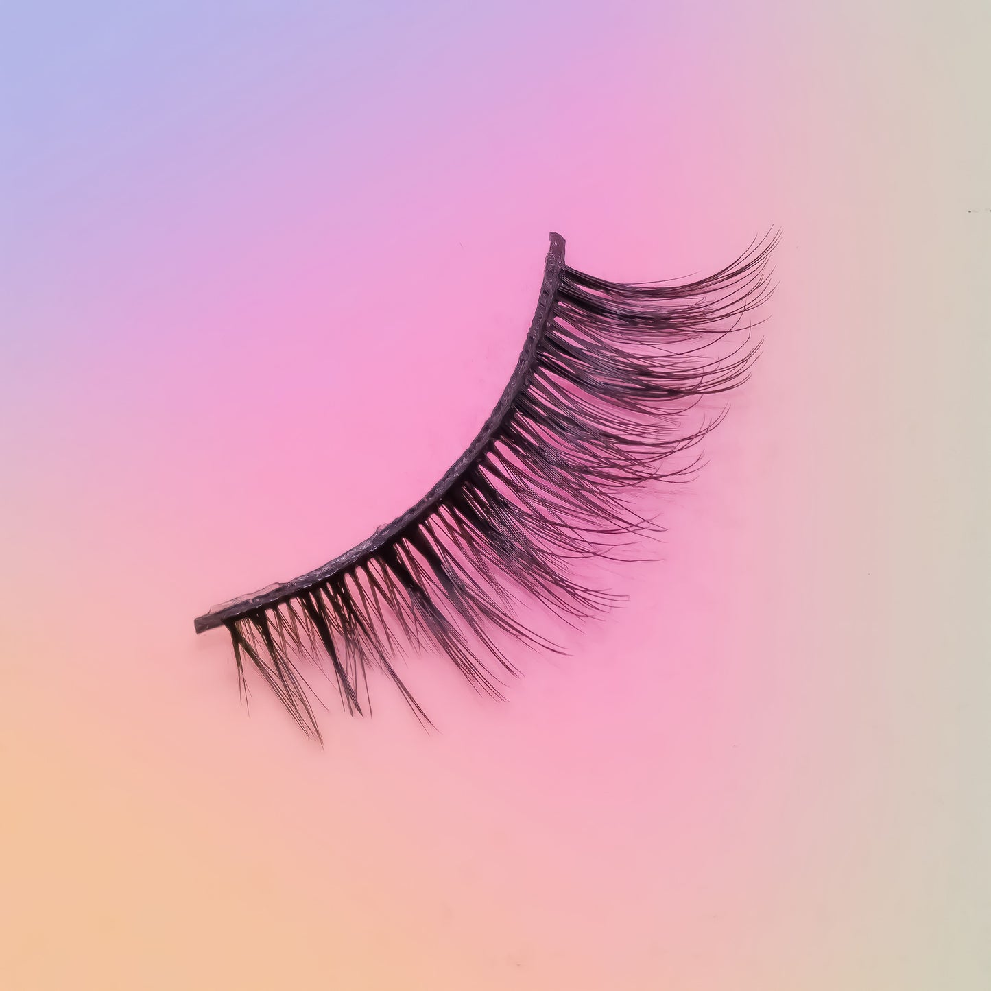 False eyelash on a gradient pink and purple background