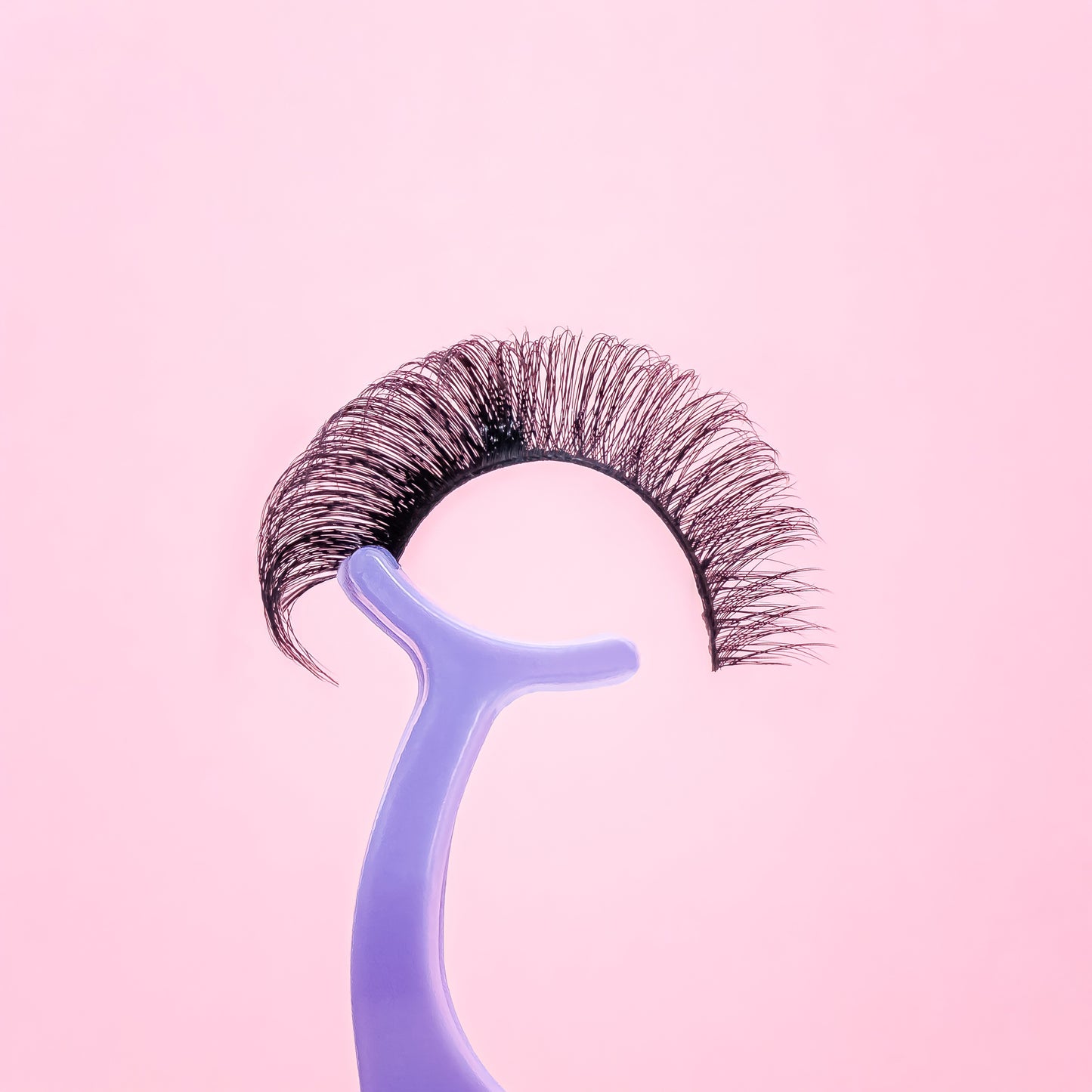 False eyelashes on a blue holder against a pink background