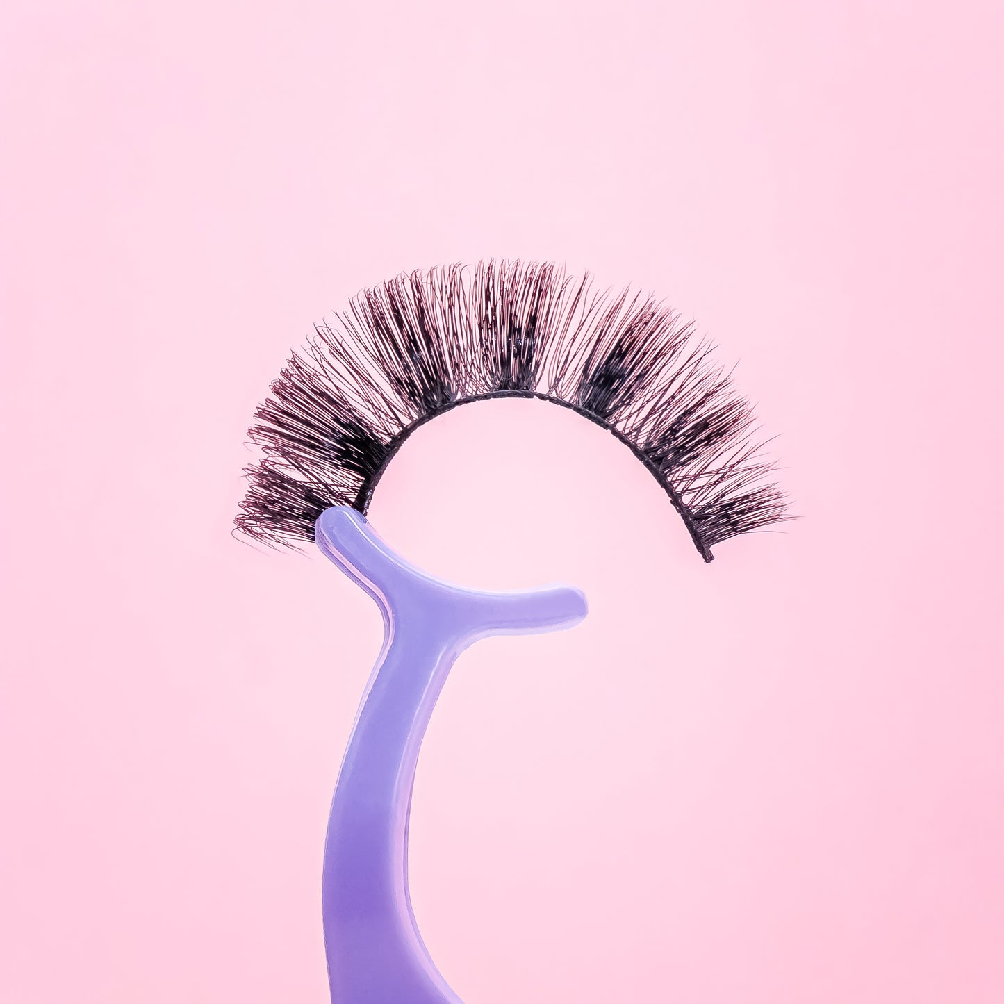False eyelashes on a blue holder against a pink background