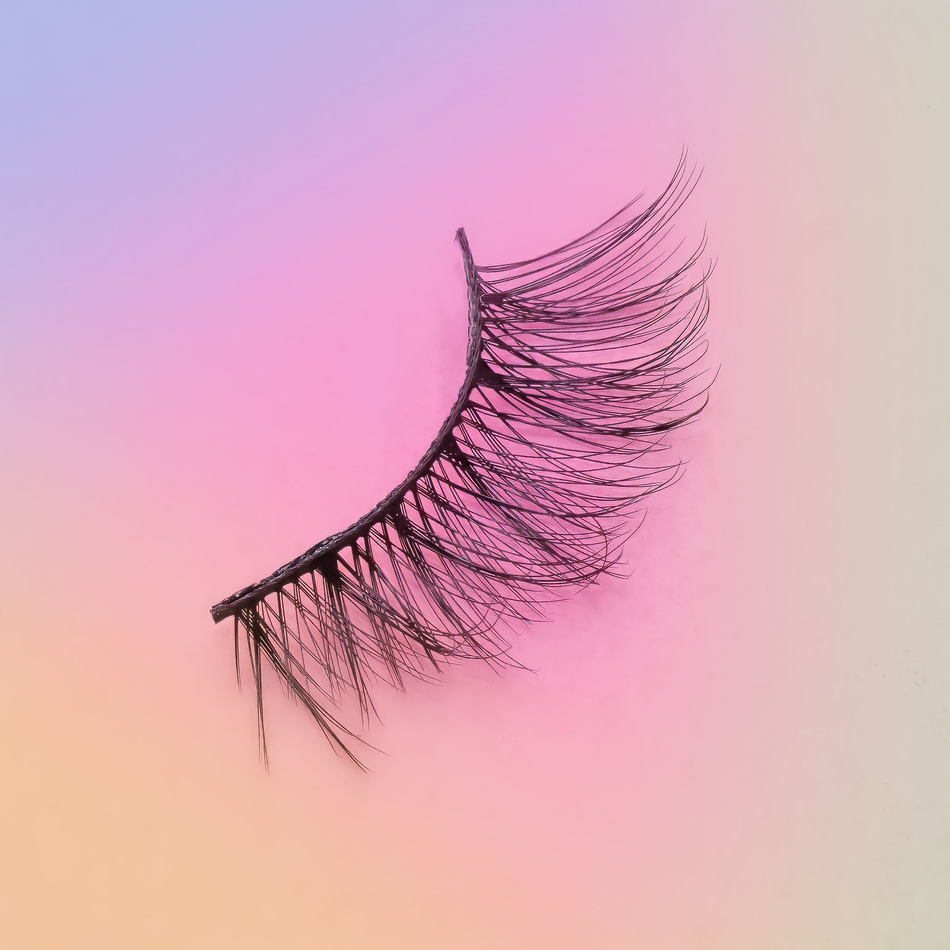 False eyelash on a gradient pink and purple background